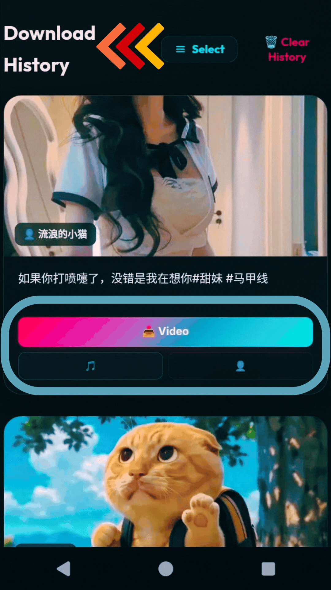 View Download History